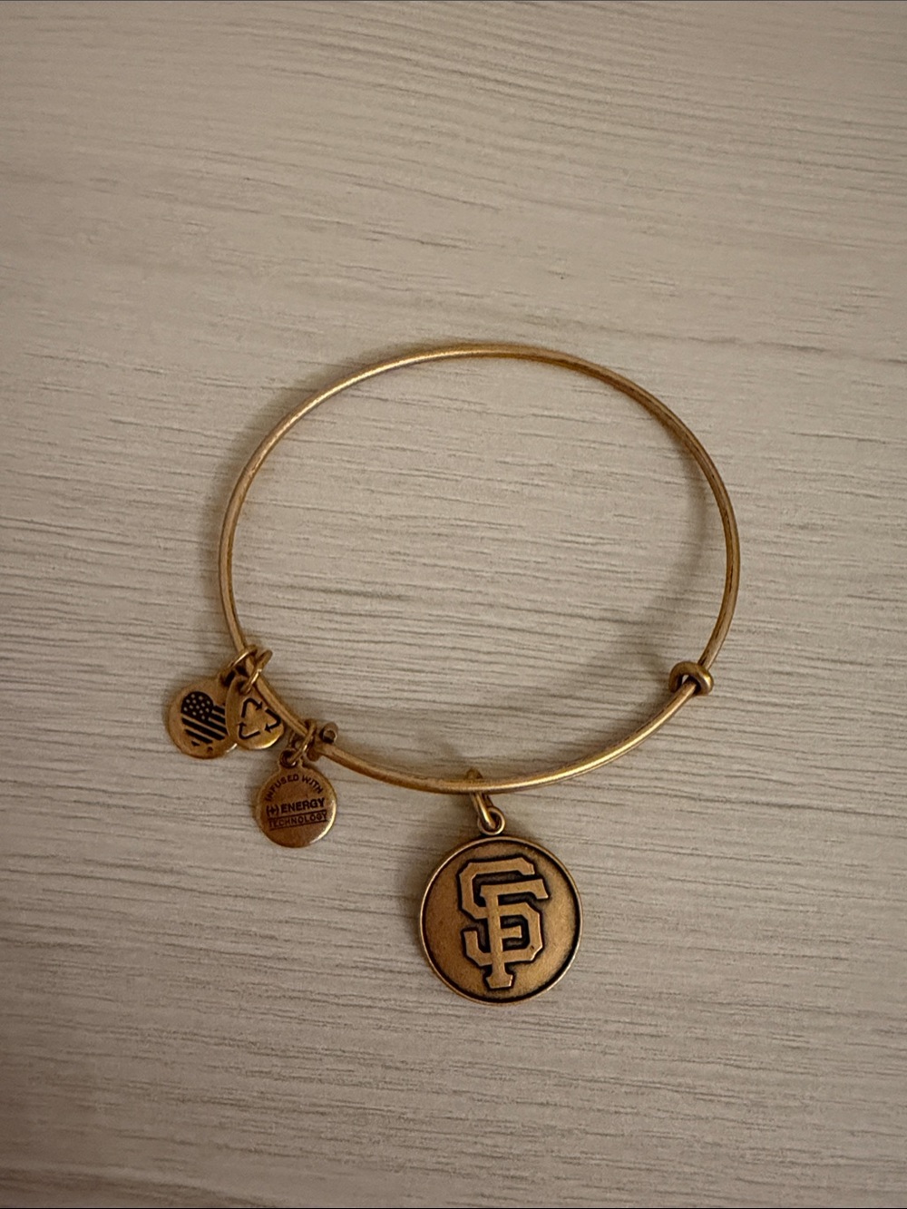 Alex & Ani Gold San Francisco Charm Bangle Bracelet